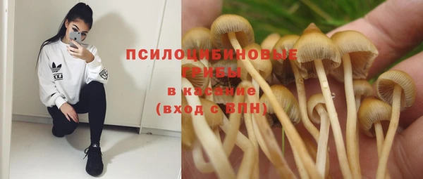 mdpv Мегион