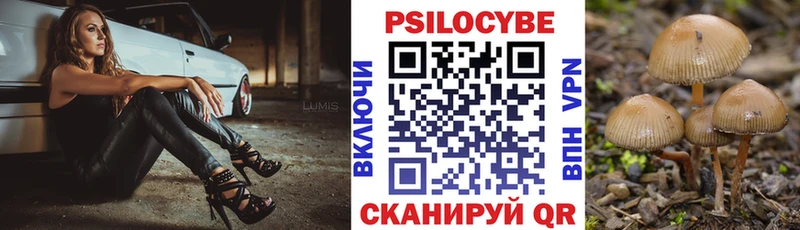 цена   Пушкино  shop наркотические препараты  Псилоцибиновые грибы Psilocybe 